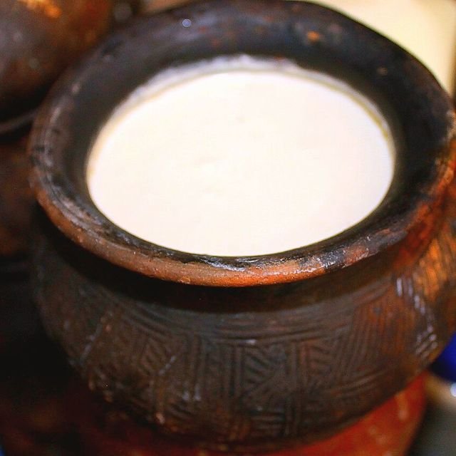 Cow's Curd (பசும் பால் தயிர்)