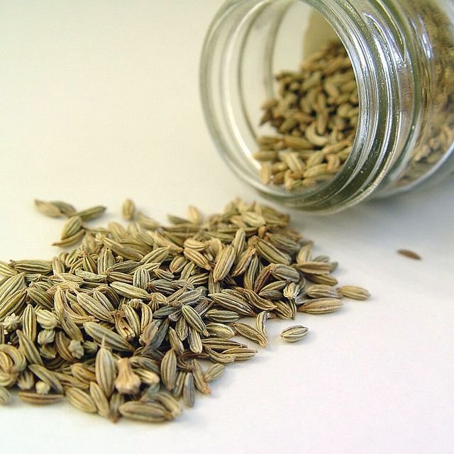 Fennel Seeds (பெருஞ்சீரகம்)