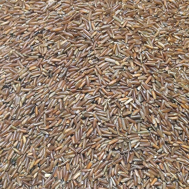 Kattuyaanam Rice (காட்டுயானம்)